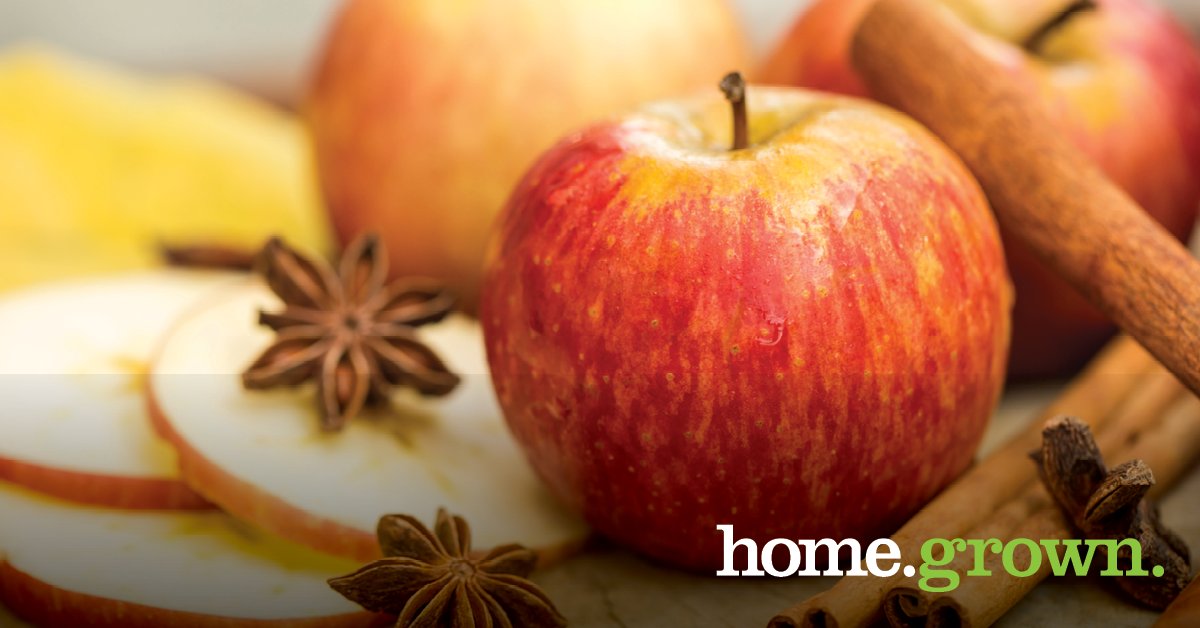It's prime time for apple picking in the Northeast and we are proud to partner with a wide variety of apple orchards, farms and cider mills in our region, to bring you the best of the Northeast! 🍎🍏

Learn more in our latest blog: bit.ly/3TtoXmG