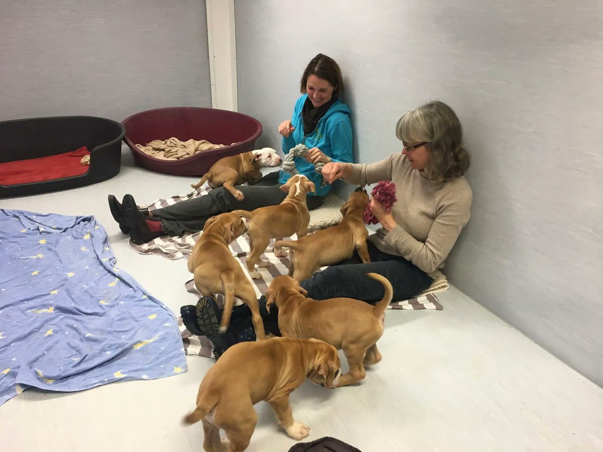 insightsoftware's tweet image. Last Friday, over 300 of our passionate insighters connected with their local communities by participating in our 2nd #InsightCaresDay and volunteering their time, energy, and support across the globe.

Giving back is our #ConnectEffect in action.