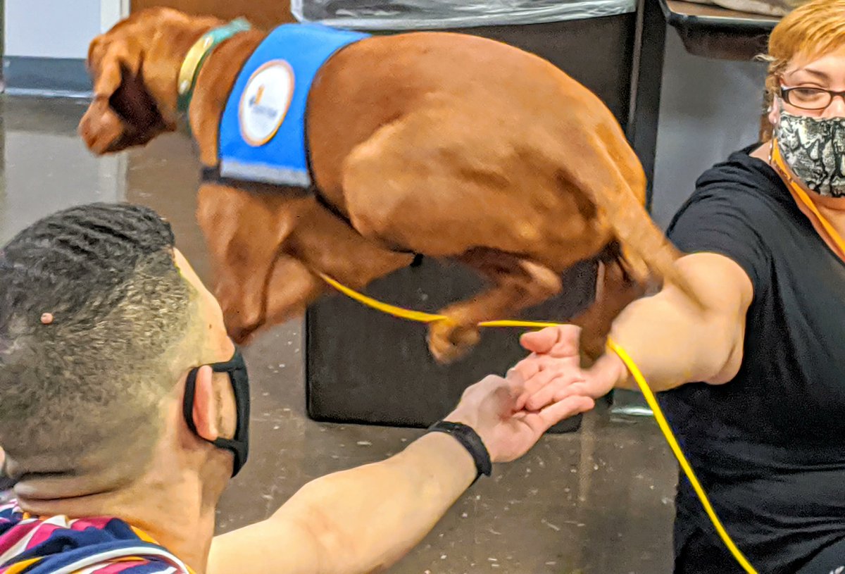 Canine Therapy Corps tweet media