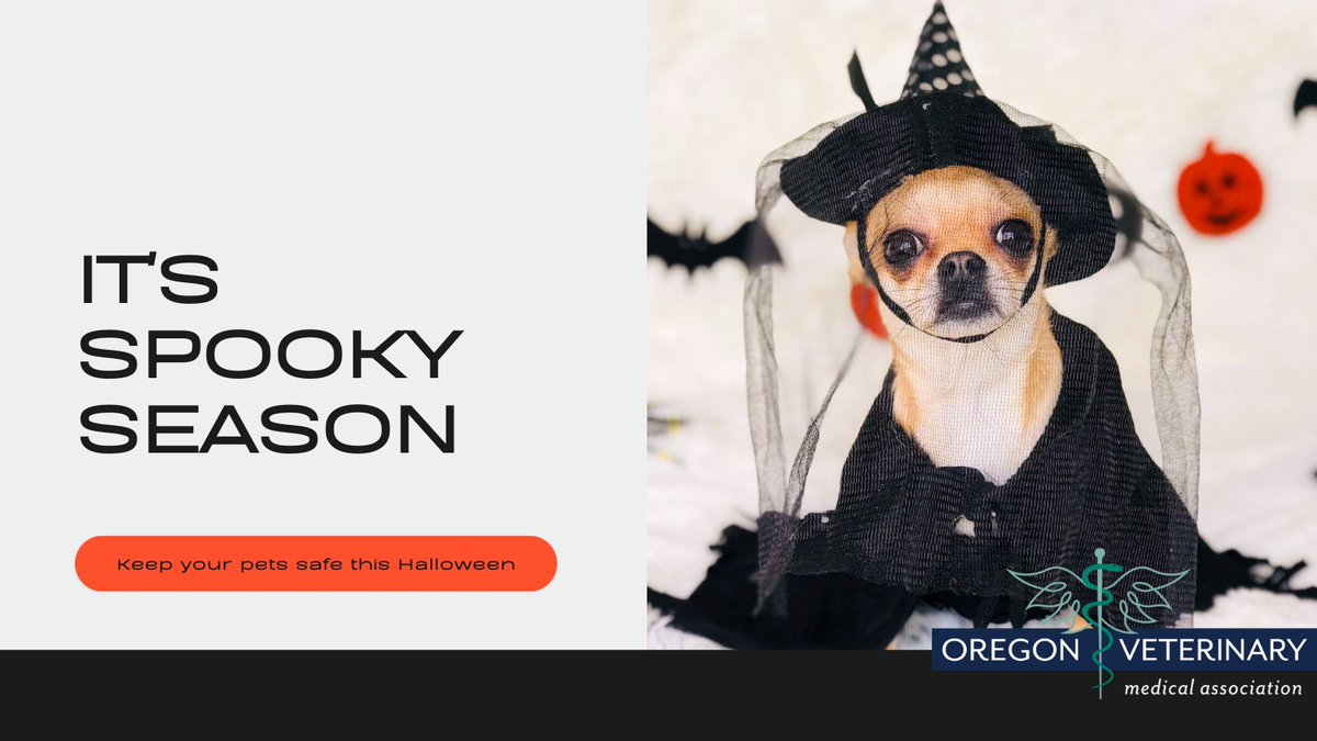 Tweet by Oregon Veterinary Medical Association