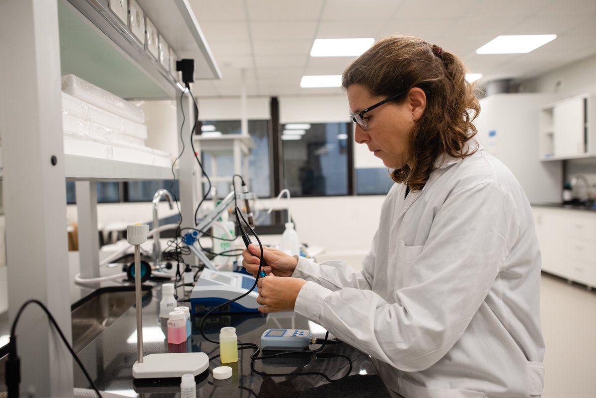 UTECuy's tweet photo. #UTEC creó sus primeros dos grupos de Investigación Estratégica, formados por investigadores y expertos de nuestra universidad y de otras instituciones para promover la #investigación interdisciplinar y la transferencia de conocimiento y tecnología con el entorno 🧵👇🏻 https://t.co/koSda5DuoT