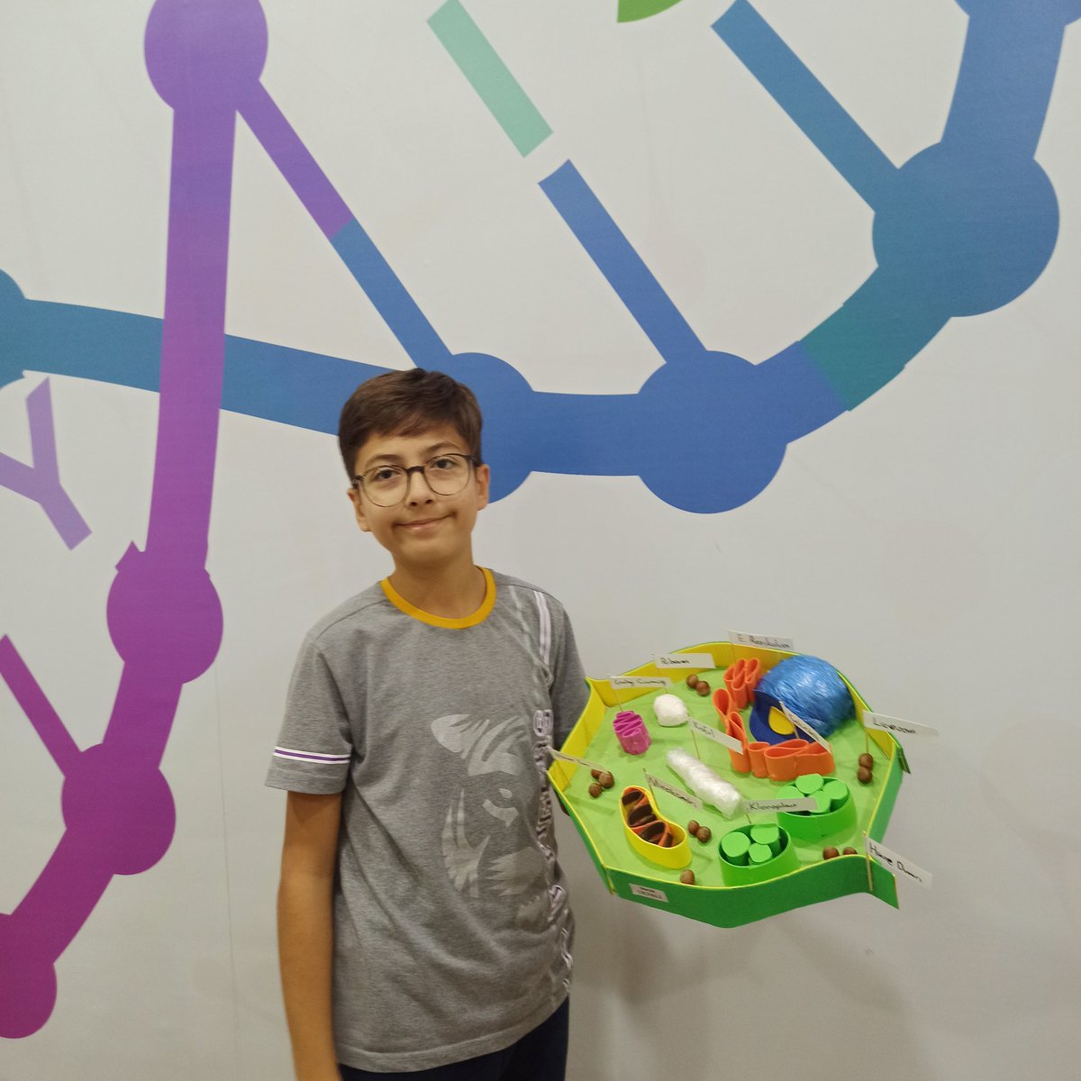 7. Sınıf öğrencilerimiz Fen Bilimleri dersinde "Bitki ve Hayvan Hücrelerini" yaptıkları maketler üzerinde somut olarak incelediler.