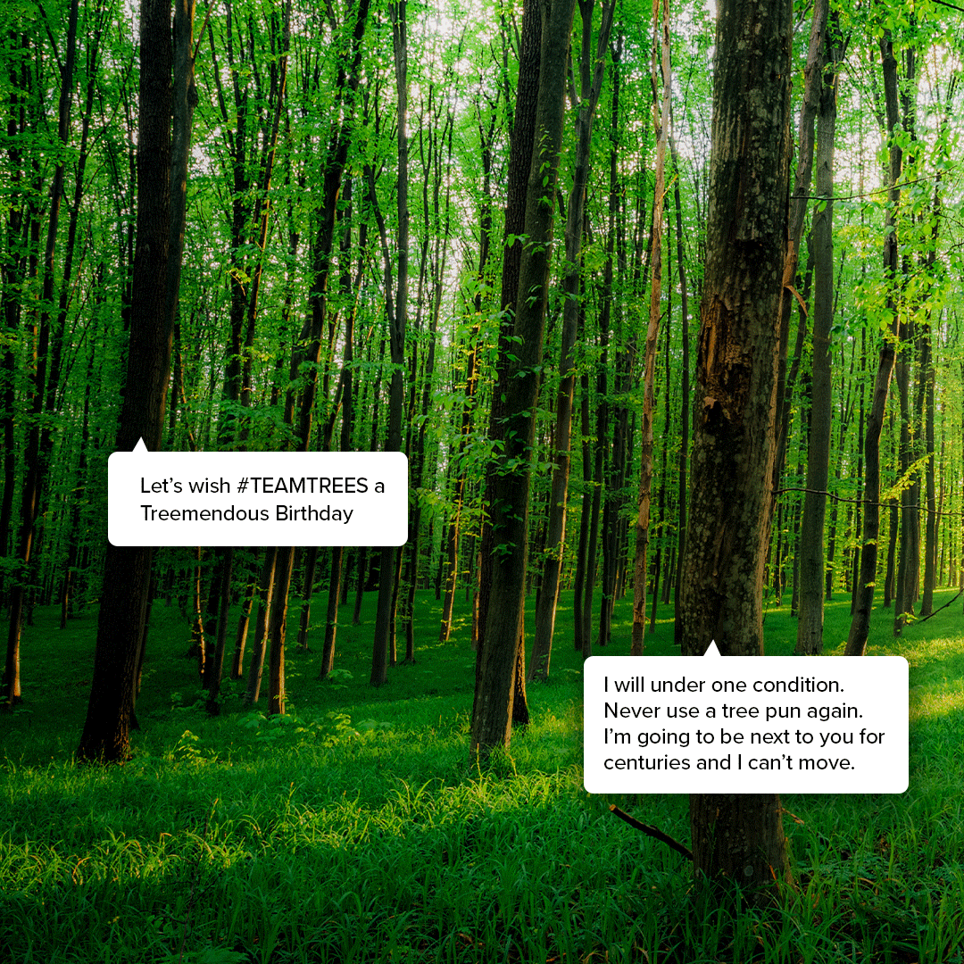 teamtreesofficl's tweet photo. Almost 3 years with #TEAMTREES, can you be-leaf it?! 🌲
#MrBeast #PlantMoreTrees #TreePuns #Puns #Quotes #Trees #ObsessedWithTrees https://t.co/mACAEgBAiY