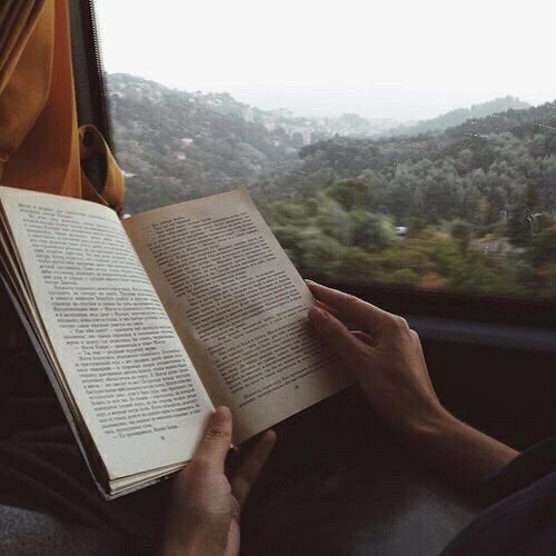 bookpoets's tweet image. 