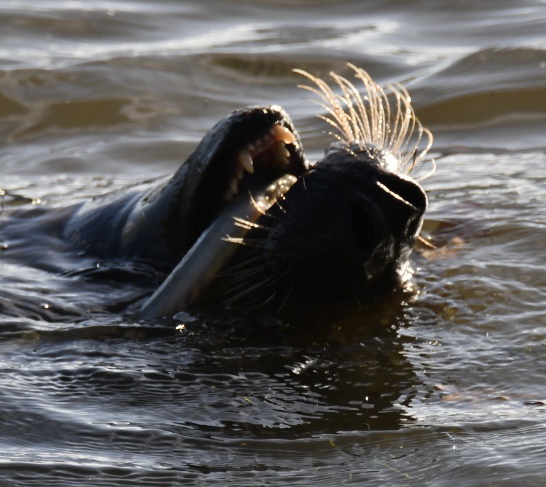 Tim Ridgeway tweet media