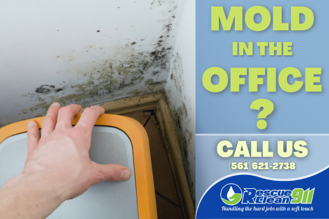RescueClean911's tweet photo. Mold in your company office can severely decrease employee productivity and wellbeing. 

Rescue Clean 911 offers commercial mold testing at offices and other business facilities throughout Southern Florida to keep your workplace healthy.

https://t.co/JT6E6sARUQ #floridaproperty https://t.co/PHUIlmcHBc