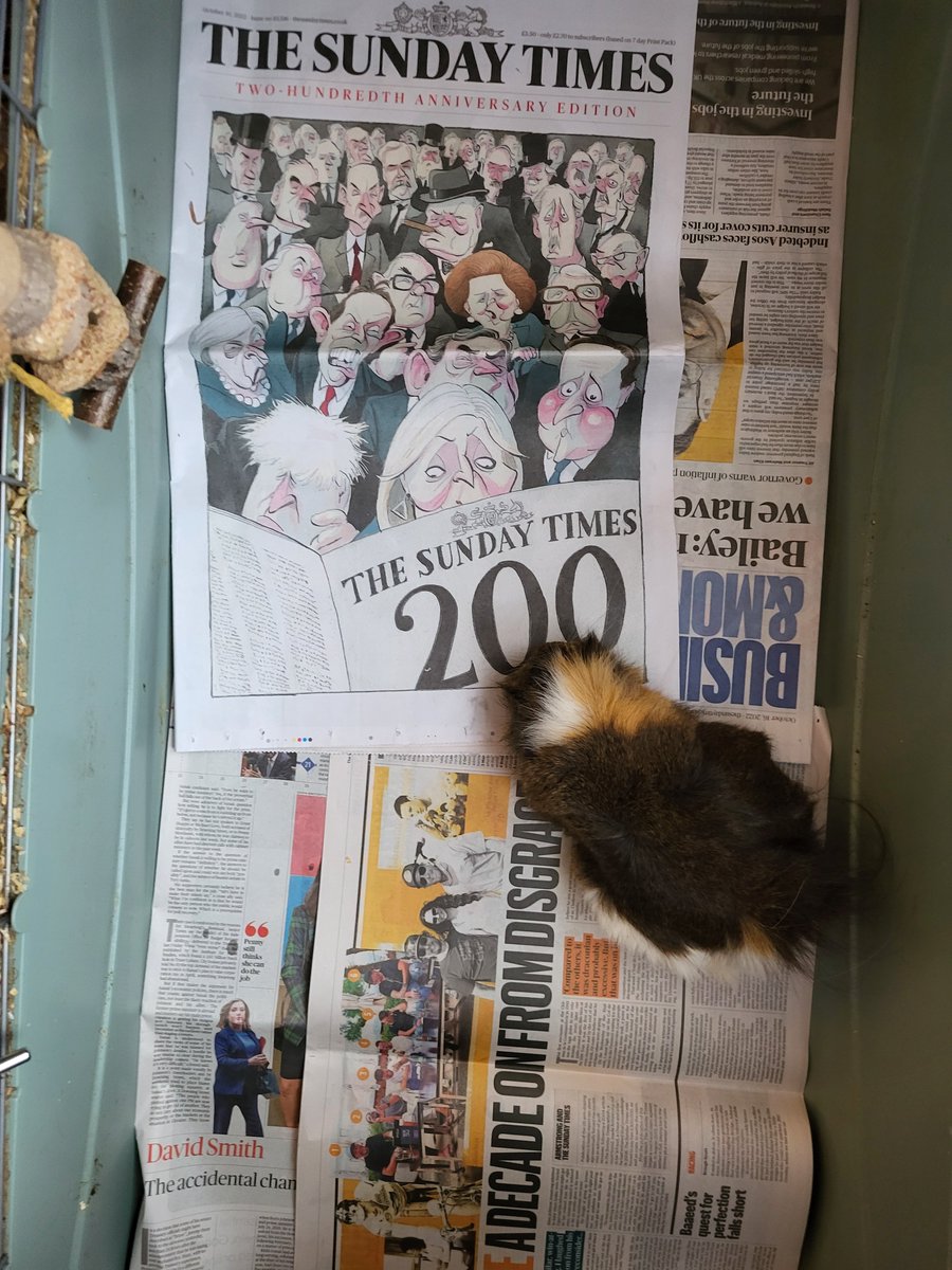 lizzielongwill's tweet photo. Changing the guineapigs cage liner slightly more often than we change PM. #GeneralElection2022 https://t.co/ij4v7ZvGGq