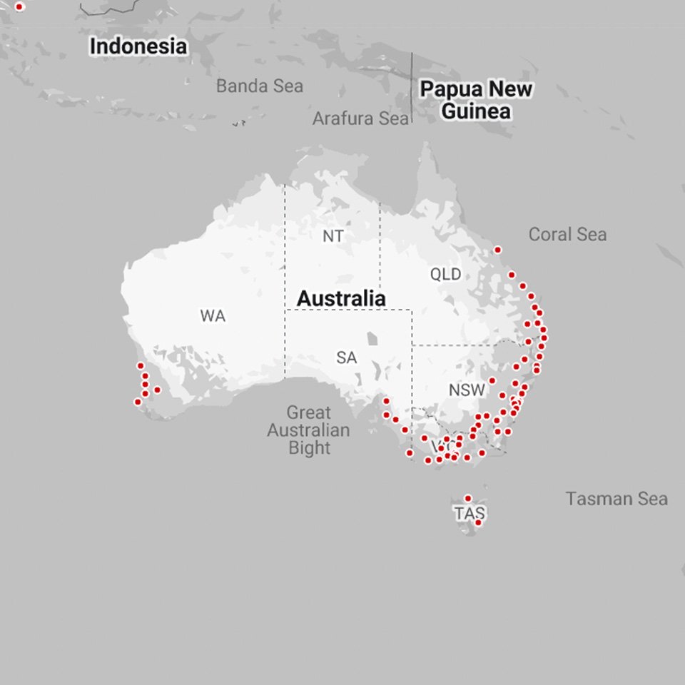 tesla_brasil's tweet photo. A Tesla conta atualmente com uma rede de + de 35 mil Superchargers no mundo em 46 países!
#Tesla #superchager https://t.co/JF0LBnSxws