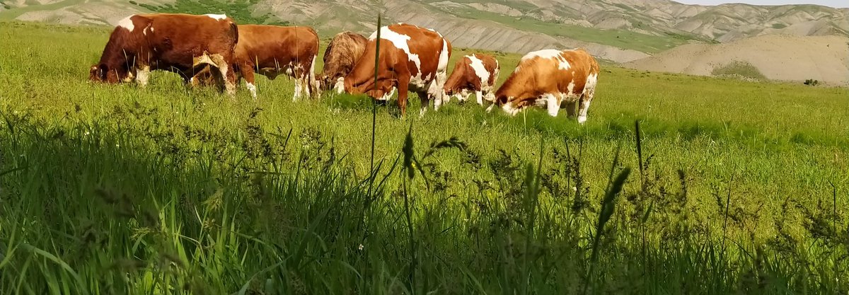 köyümü özledim ben :(:(