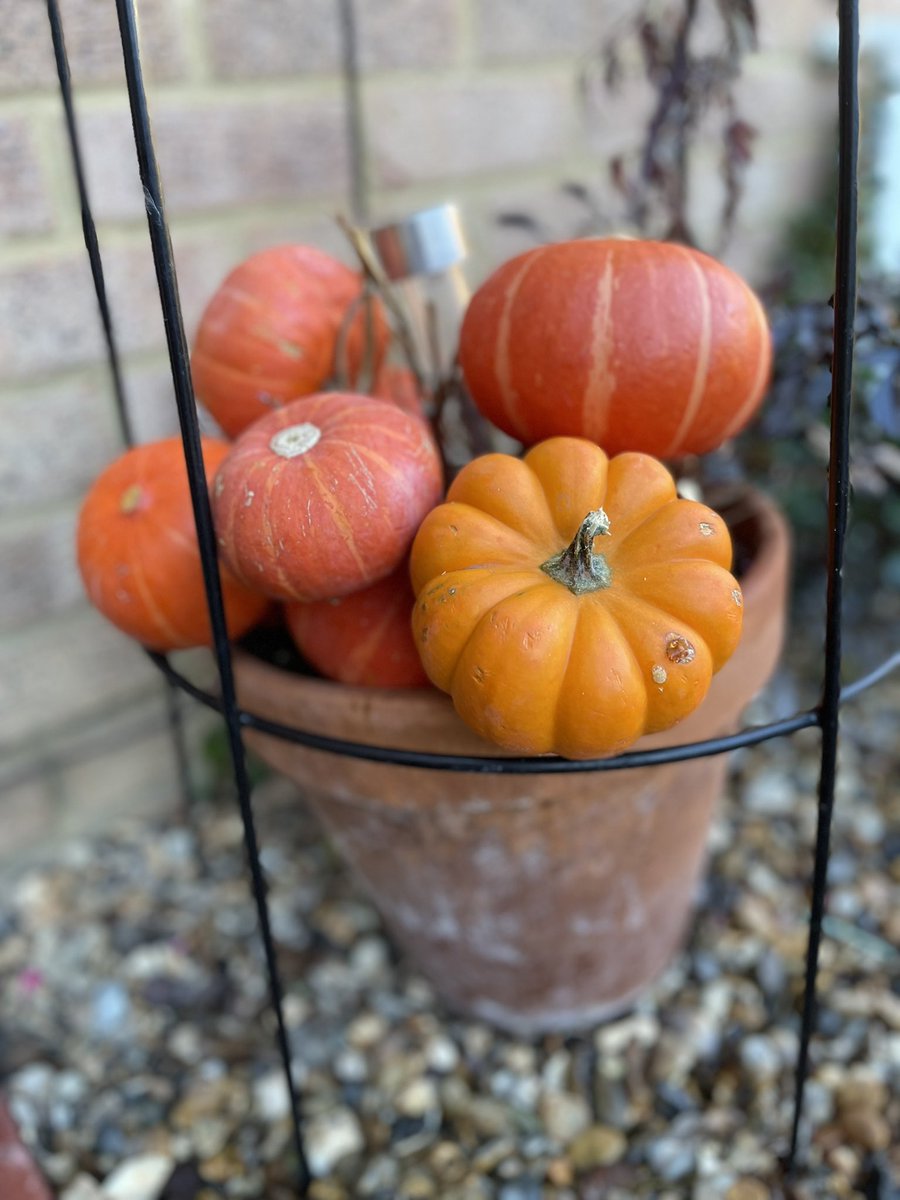 Love this time of year 🍂👻😀