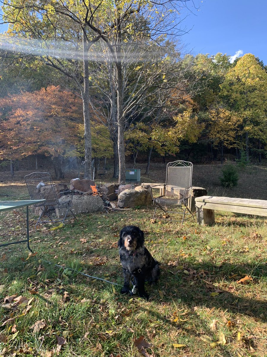 britsburgh's tweet photo. this past weekend i spent with some of my best friends out in the woods of west virginia. it gave me life but as i look back, i still hear him telling me they only came bc they feel sorry for me https://t.co/fO2nwO21lp