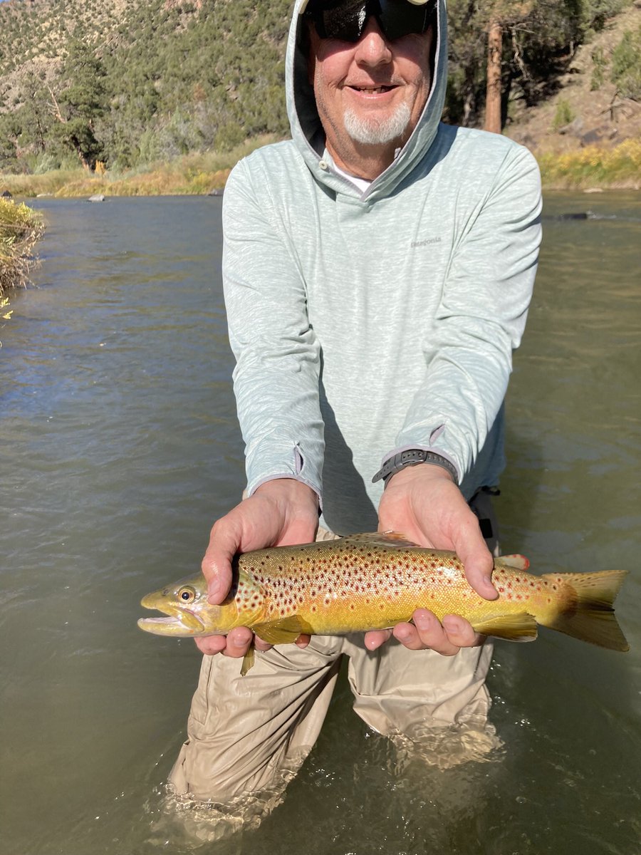 I know it’s football season BUT Rio Grande Brown Trout are hungry #retired #taosflyshop thanks Ryan