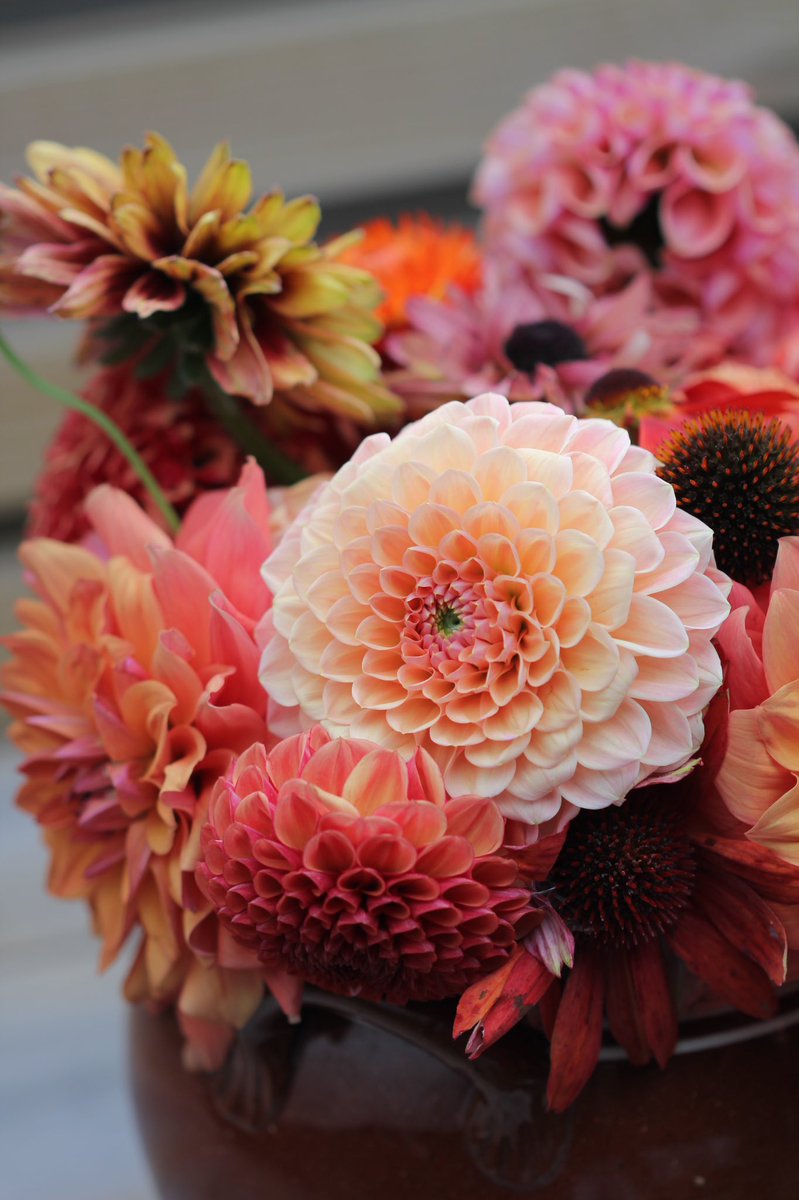 Bouquet with #Dahlias for #DailyDahlia