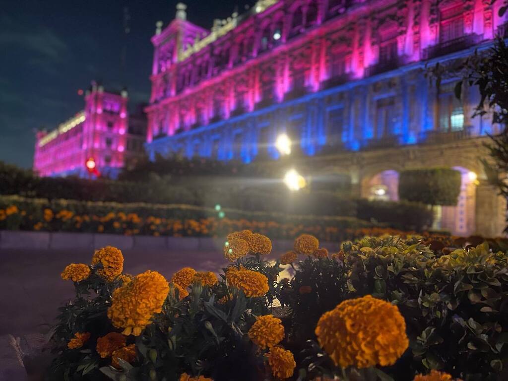 gacp69's tweet photo. Ciudad de noche 👌🏼💗
.
.
.
.
.
#citynight #night #city #nightphotography #citylights #nightcity #photography #streetphotography #citynights #citylife #cityscape #cityphotography #street #lights #cdmx #travel #urban #citynightlights #urbanphotography … https://t.co/s0Y8xEw42B https://t.co/ZM1ST9reRE