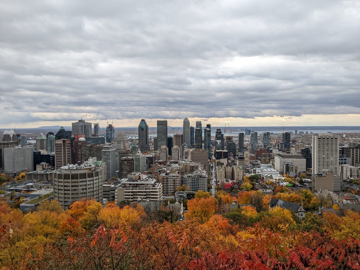 #Montréal #montroyal