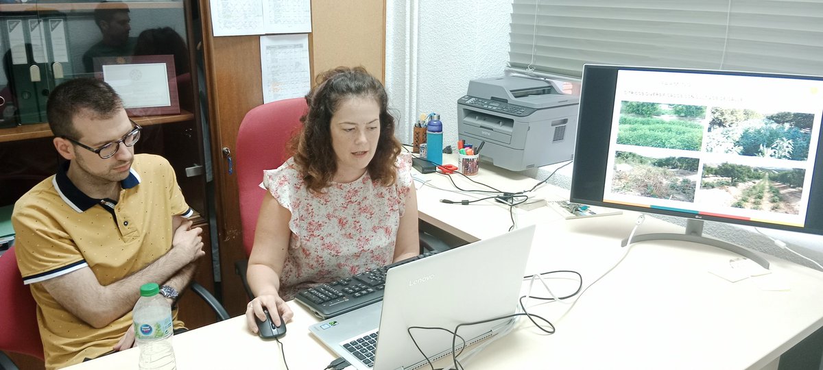 Presentando los beneficios y desventajas de la diversificación de cítricos con cultivos anuales en las calles en el webinario final de <a href="/diverfarmingES/">Diverfarming España</a>