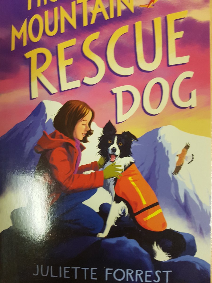 Valda_Varadinek's tweet photo. A lovely delivery from the wonderful @jools_forrest Huge thank you. We cannot wait to discover more
#HalfTermRead
#TheMountainRescueDog https://t.co/tryAtxui1b