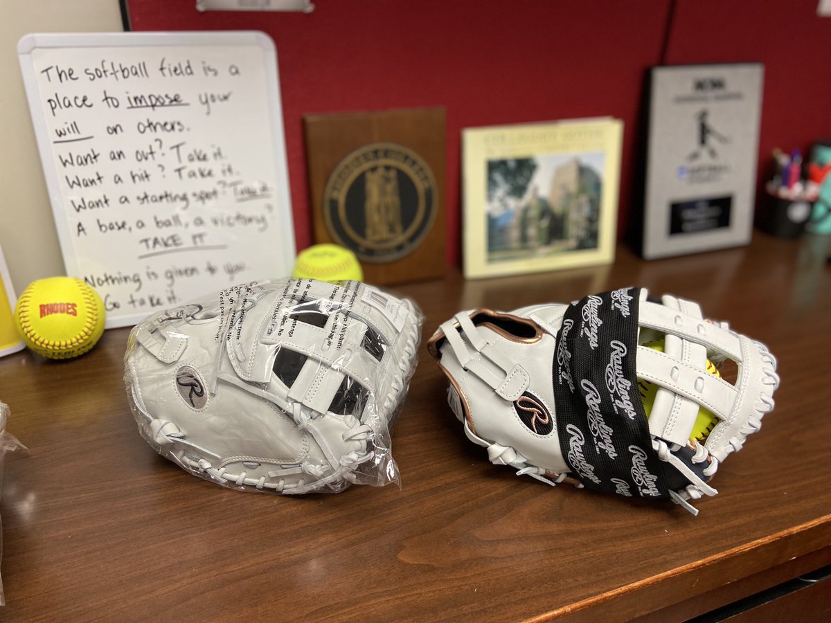 RhodesSoftball's tweet photo. WHAT. BEAUTS. 😻

Thank you Easton and Rawlings! #RollLynx #BurnTheShips https://t.co/aYDeDRrmmR