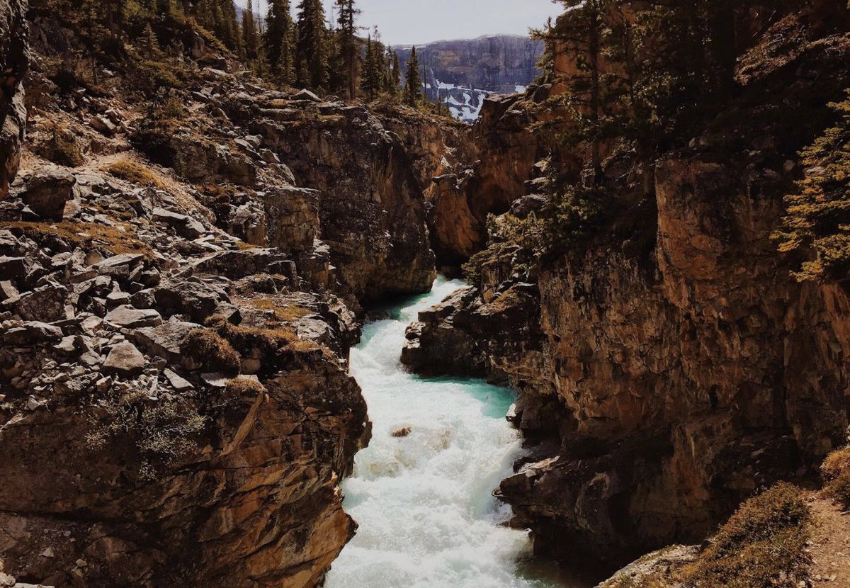 An old photo taken in Alberta