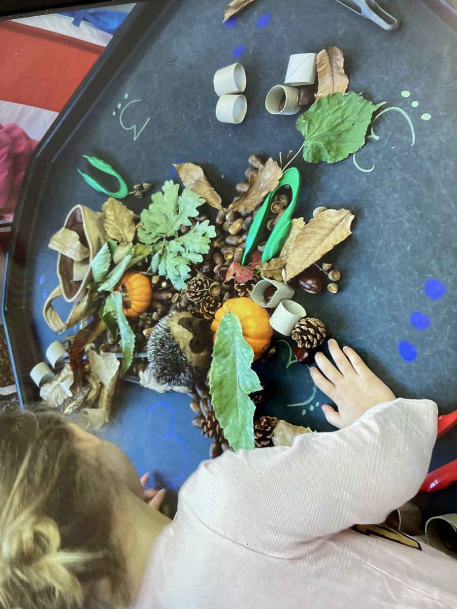 CharlotteAlen's tweet photo. Oh I do love EYFS maths! Watching reception and nursery learn all about the number 3 through number sense and continuous provision was so much fun #earlymaths #mathsprovision https://t.co/ZP39lMFTyI