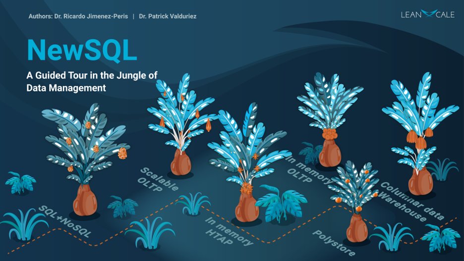 LeanXcale's tweet photo. Do you miss SQL features in NoSQL databases? NewSQL databases aim at the best of both worlds. In this post, we explain how they work, their features, and pros and cons. 

https://t.co/4meSbVc0do https://t.co/EZL4uiBM4I