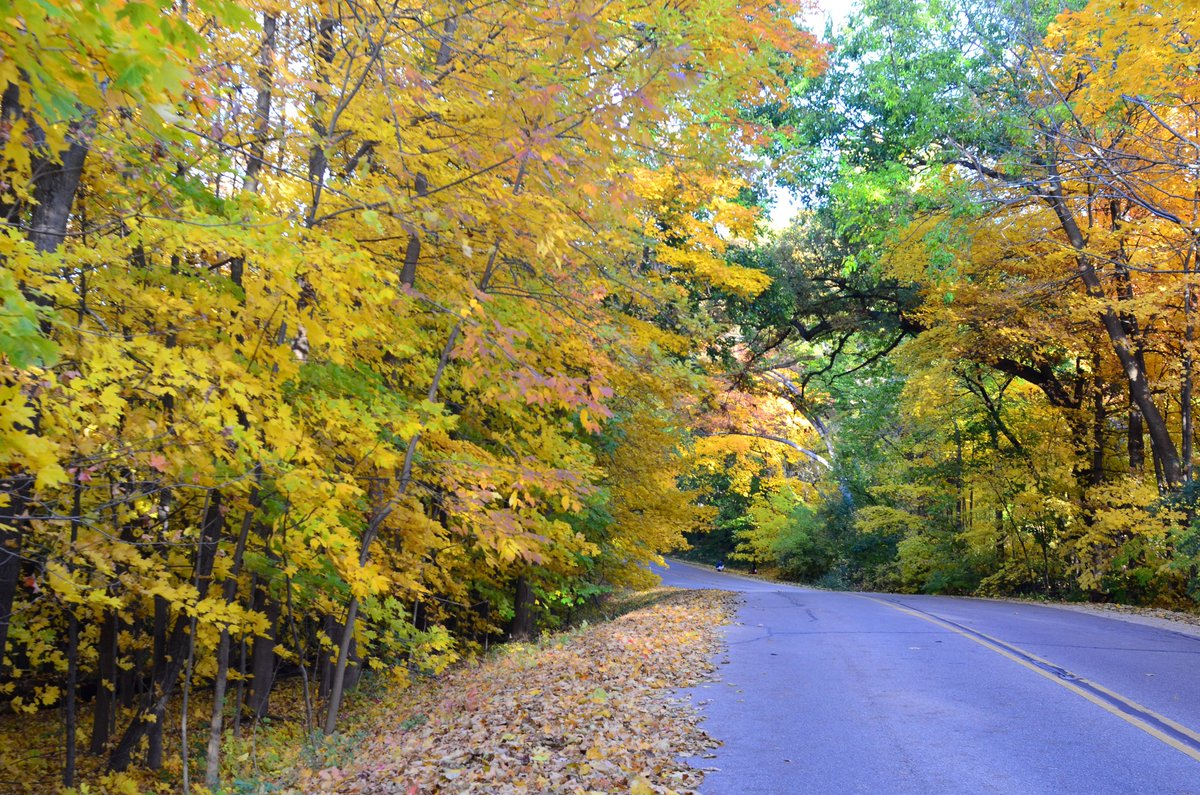 LSU Research tweet media