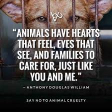 Kayla080420's tweet photo. Forced chemical exposure, genetic manipulation, ear-notching, tail-clipping, food/water deprivation, forceful pain, and killing by asphyxiation. This happens to animals daily at testing facilities. Is looking good worth harming a furry friend? #enc1143 #pathos #stopanimaltesting https://t.co/dbm6gJEJZ1