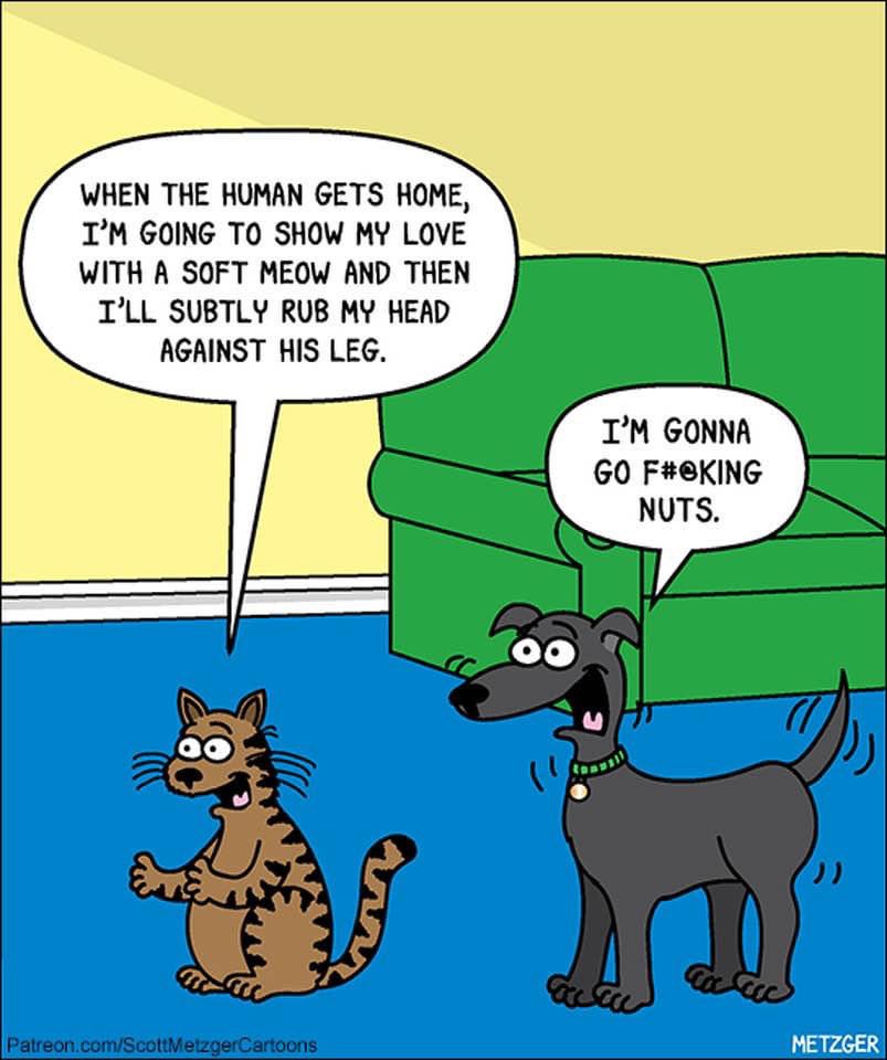 AbsolutePetCare's tweet photo. 😂 
Credit - Scott Metzger Cartoons
#dogs #cats #pets https://t.co/A2dtxpQm3r