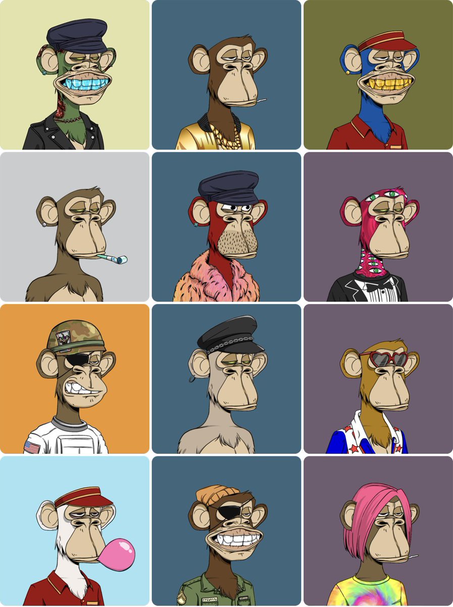 mrghostinvblog's tweet photo. My BAYC family portrait @BoredApeYC who is your favourite ? https://t.co/aq90V7h4O0