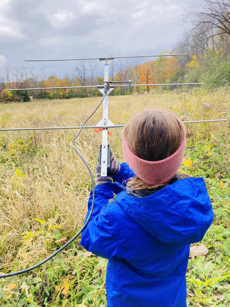 barbalink's tweet photo. Unexpected day home for #scikid1 meant telemetry tracking class instead. She only lasted for 1.5 birds so catching up with desk work the rest of the day #getkidsinnature #sciparent https://t.co/EN3ZFLFEZ4