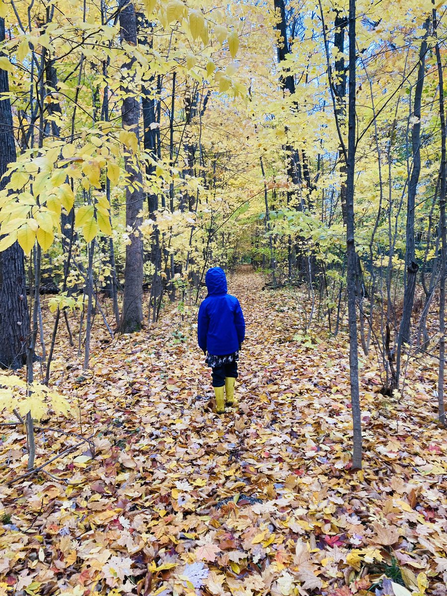 barbalink's tweet photo. Unexpected day home for #scikid1 meant telemetry tracking class instead. She only lasted for 1.5 birds so catching up with desk work the rest of the day #getkidsinnature #sciparent https://t.co/EN3ZFLFEZ4