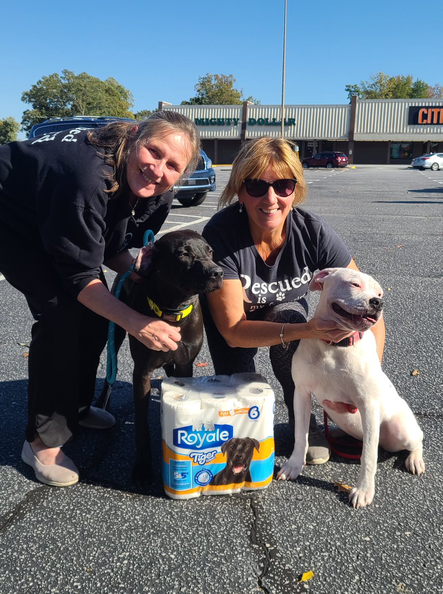 Last day to donate to NDR under the #RoyaleHomeForEveryPetProject offer

Royale supports rescues and shelters with this offer and throughout the year.  Check out the paper towels we use at transport!

Make a donation of $5 or more to help support us
niagaradogrescue.com