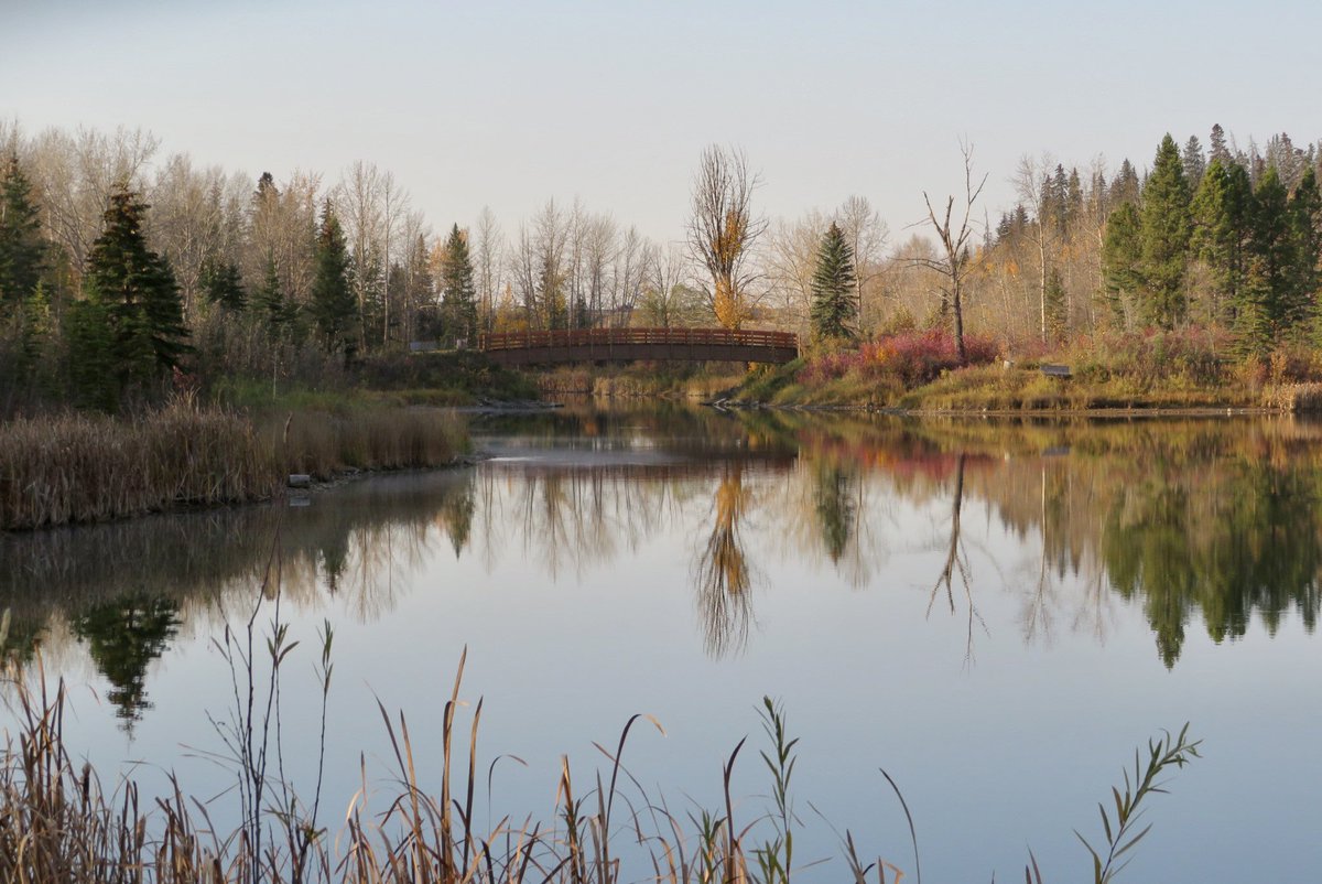 #HAPPINESS is a quiet and peaceful morning at McKenzie Ponds.
#peaceinnature #reddeer