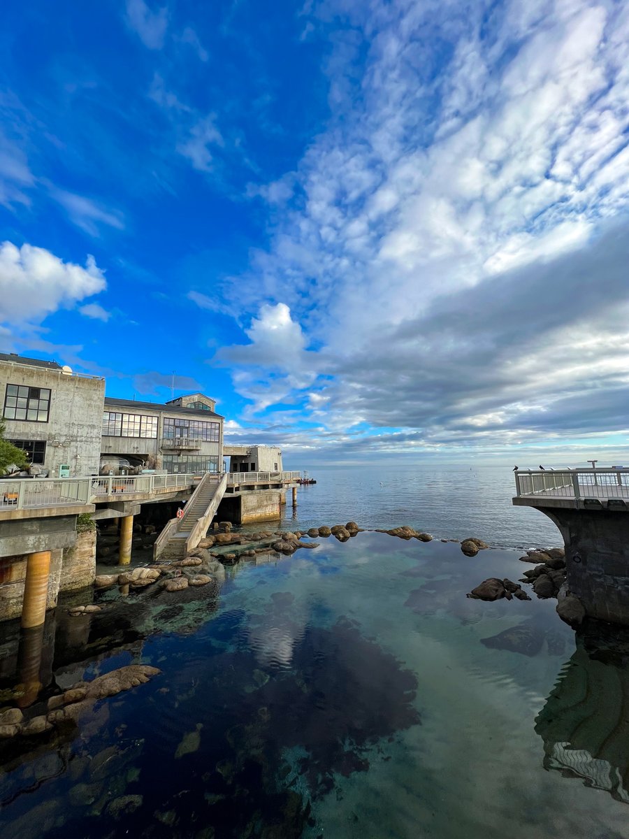 MontereyAq's tweet photo. Break out the celebroceans: It’s our 38th anniversary! We want to thank all of you for your enduring support—our volunteers, staff, members, donors, followers, and every person who has visited the Aquarium once or many, many times over the years. Here’s to many more! https://t.co/D4H8XV8TuN