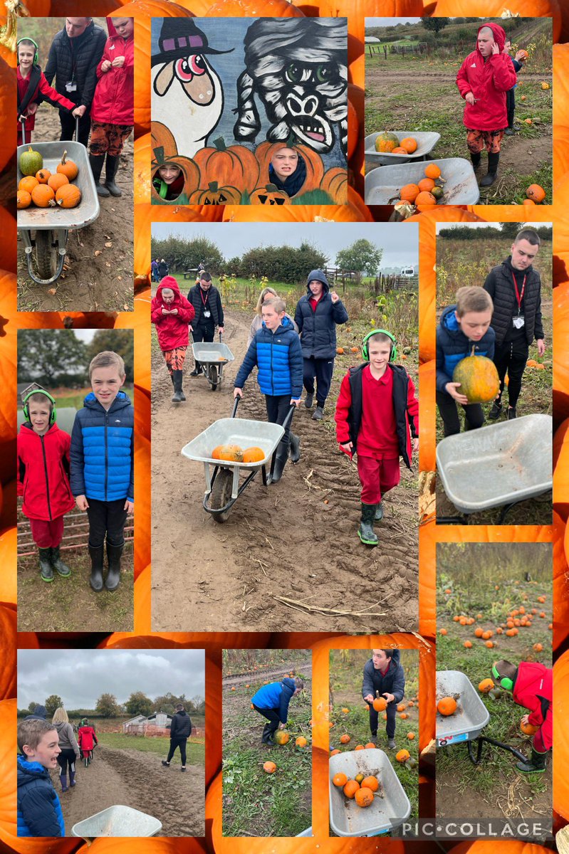 YsgolHenFelin's tweet photo. Some of us in Dosbarth Melyn had a fantastic day today at #pencoedfachfarm pumpkin picking! 🎃 Just look at all of those pumpkins!!!! 🎃🎃🎃 We also enjoyed looking  at some of the farm animals! 🐄 🐖 🐓 #yhfdosbarthmelyn https://t.co/CHDMnIWqhA