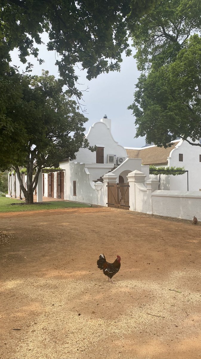 Made it back to #Franschhoek to the exquisite world famous garden, vineyard and fully working foodie farm that is @babylonstoren. T was lovely to stay in the new Fynbos House, part of a set of gorgeous farm cottages. #OutThereReviews @OutThereMag @SouthAfrica @lovecapetown