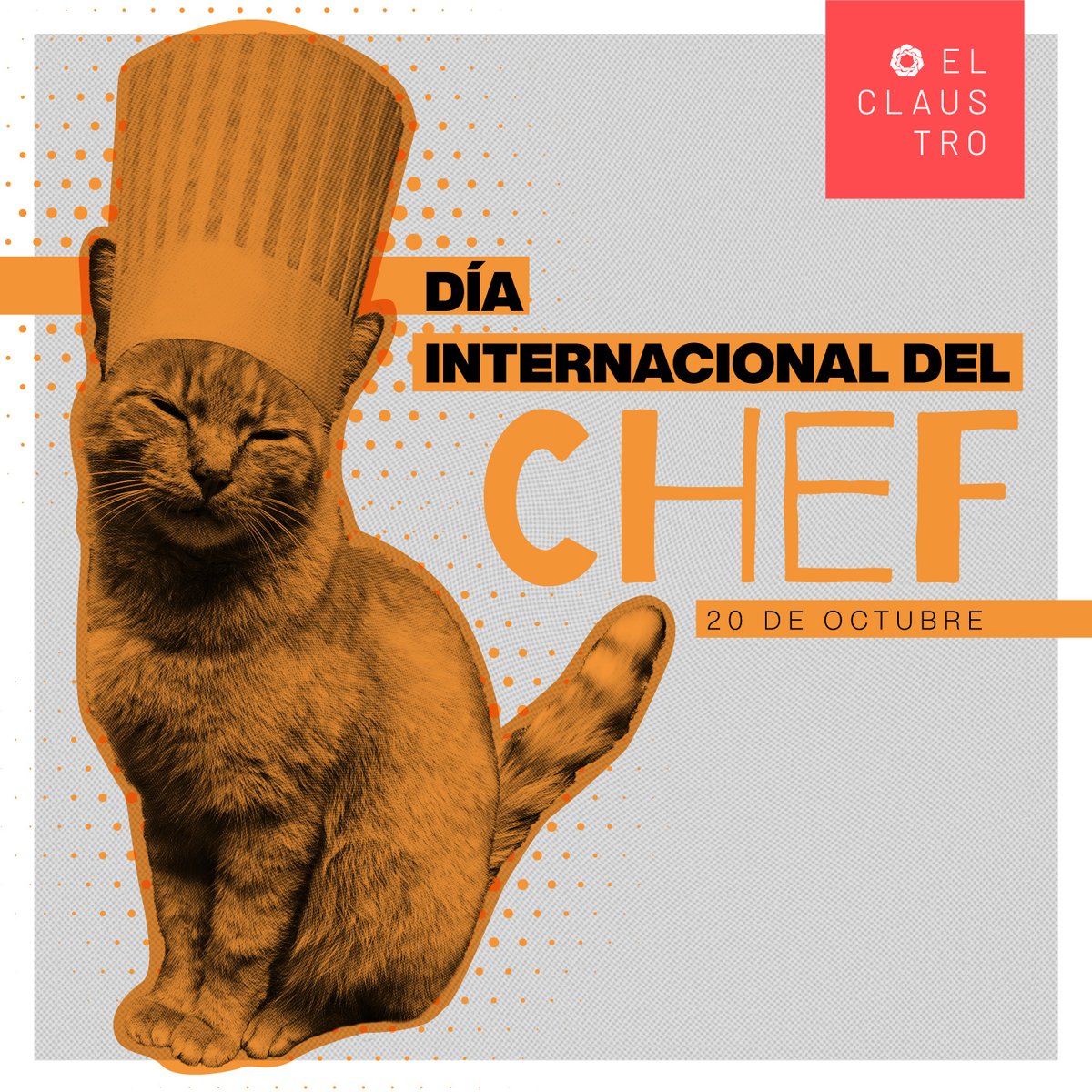 U_ElClaustro's tweet photo. La Asociación Mundial de Sociedades de Cocineros (WACS por sus siglas en inglés) lo estableció en 2004 🗓️ para conmemorar a los chefs profesionales reconociendo su dedicación, trabajo duro y su pasión por la cocina. 👨🏼‍🍳👩🏼‍🍳

#DíaInternacionalDelCheff #Gastronomía #Cheffs #Cocina https://t.co/NQ0LKzH9xg
