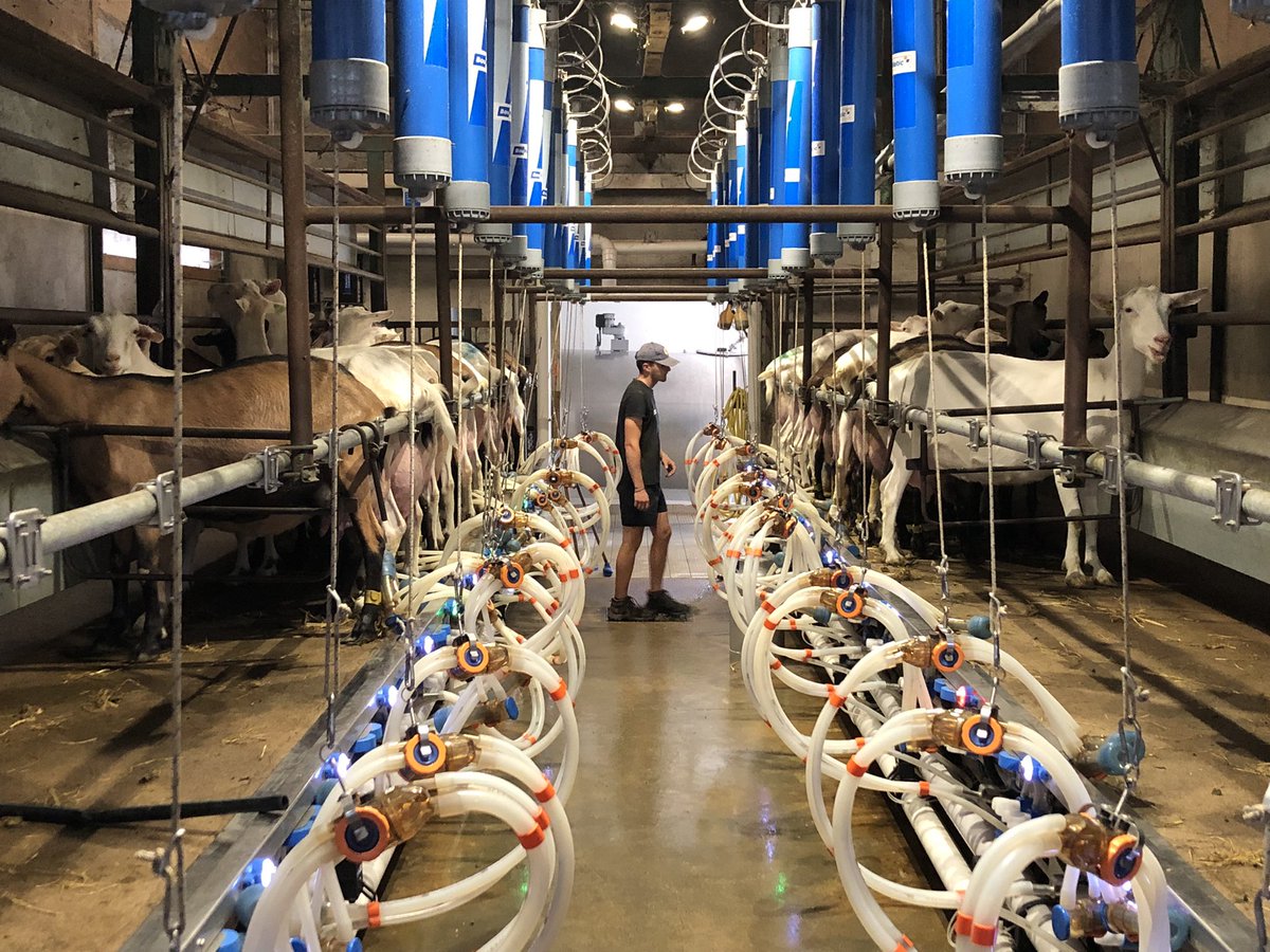 Route des fromages de chèvre de Nouvelle Aquitaine tweet media
