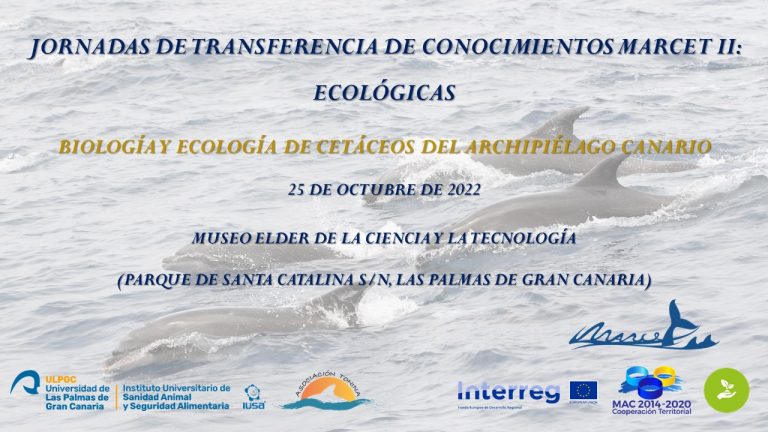 MARCET II tweet media