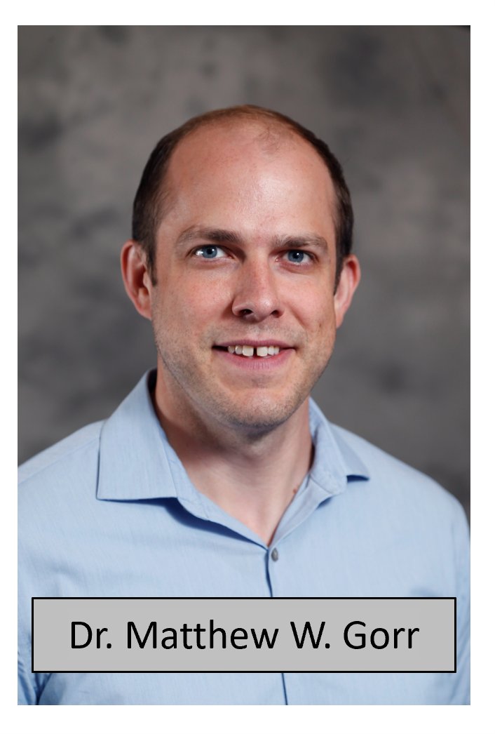 AJPLung's tweet photo. A new #RapidReport by @MatthewGorr and colleagues from @osunursing at @OhioStateMed finds that #ecigarette vapor exposure in utero causes long-term #pulmonary effects in offspring: https://t.co/fknPl8yfMU
#ArticlesInPress https://t.co/iaz3EE5BdC