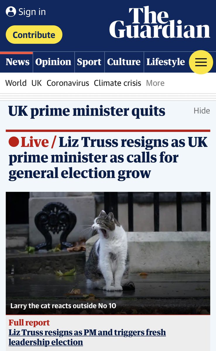teekirjo's tweet photo. Päivän uutiskuva(teksti). #larrythecat #theguardian https://t.co/Wpcd0hJHN1