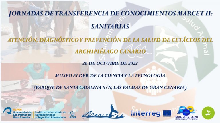 MARCET II tweet media