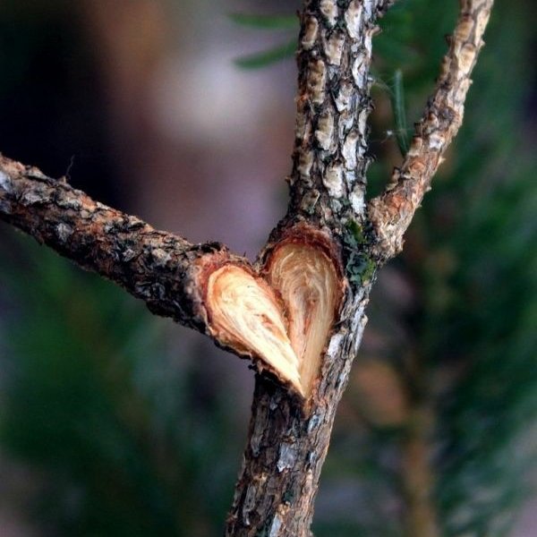 🖤
Kırıldığın yere duâ sür...