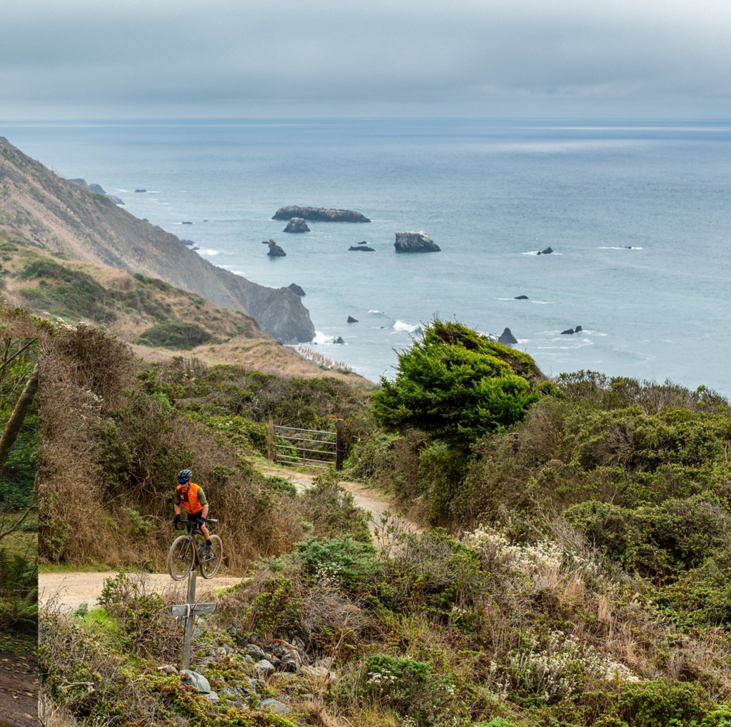 bicycle_law's tweet photo. #tbt the Usal Lost Coast Grasshopper. They certainly saved the best for last, as the final Grasshopper of the season was nothing short of STUNNING. Despite dying a thousand deaths during the brutal race, it was hardly noticeable amongst the incredible backdrop. #usal #lostcoast https://t.co/G5l8e9NrL7