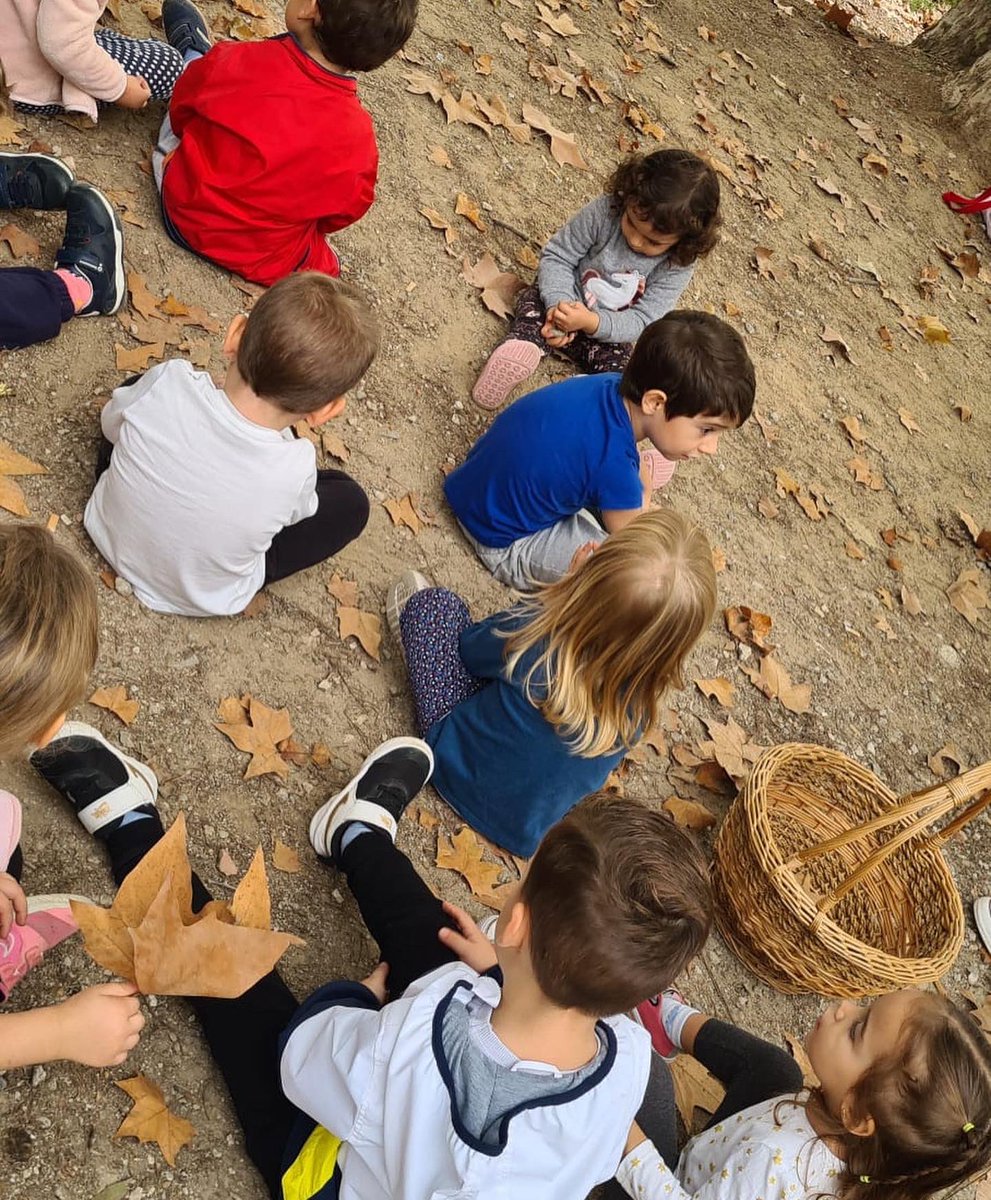 esc_elspicots's tweet photo. Els Óssos Panda i els Pingüins de Magallanes P3 hem fet la nostra primera excursió. Hem aprofitat que havíem d'anar a l'Aliança per anar a buscar fulles de la tardor per les classes i ens ho hem passat genial! https://t.co/ZKSU6GMlAV