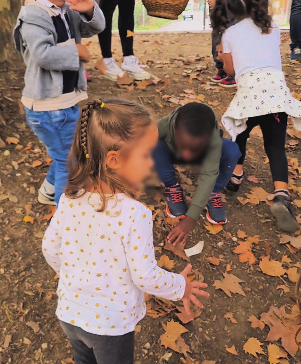 esc_elspicots's tweet photo. Els Óssos Panda i els Pingüins de Magallanes P3 hem fet la nostra primera excursió. Hem aprofitat que havíem d'anar a l'Aliança per anar a buscar fulles de la tardor per les classes i ens ho hem passat genial! https://t.co/ZKSU6GMlAV