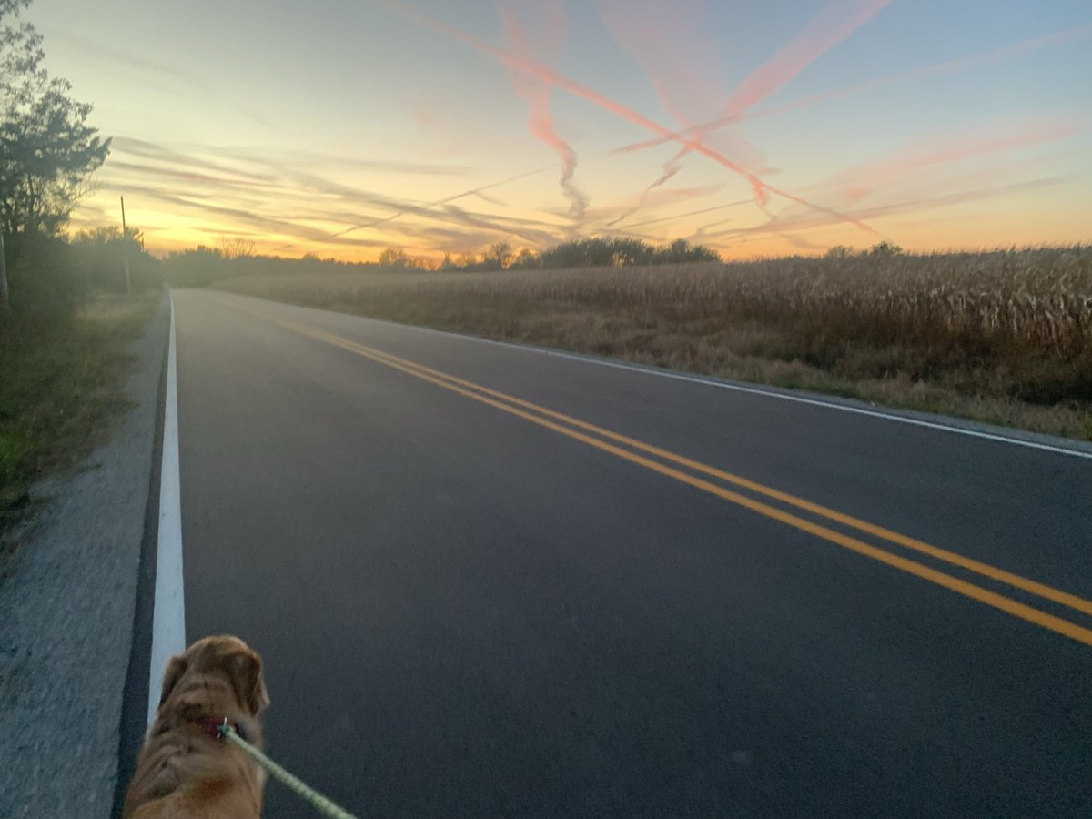 mrseckhart's tweet photo. I’ll stop taking pictures of the sky when it stops being beautiful 🌅 #octobersky #sunsetwalks #walkingbuddy #fallinwisconsin #goldenskysandgoldenretrievers https://t.co/saYpOjOpwy