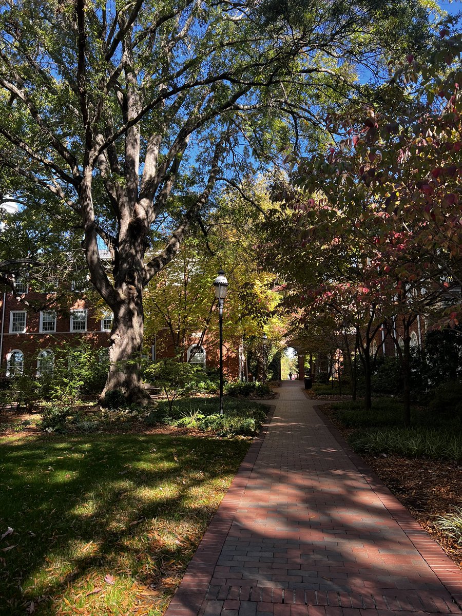 Dr. Jill McSweeney tweet media