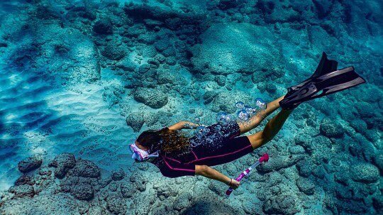 HDCmexico's tweet photo. A new winter diving season it's about to begins and #HDC as a #PADI 5-Star Instructor Development Center is more than ready to pamper all of you!

#huatulcodivecenter #divehuatulco #divemexico #padi5staridc #buceohuatulco #bonassiofficial #UnderwaterRevolution #teambonassi https://t.co/sGBEmsi46p