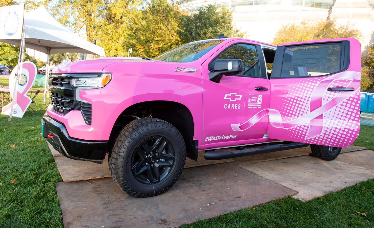 Making Strides Against Breast Cancer Chicago tweet media